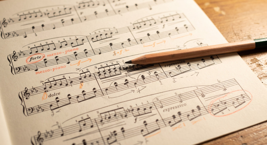 The score is printed; the pencil marks are yours. Epigenetics is how the same music gets played differently.