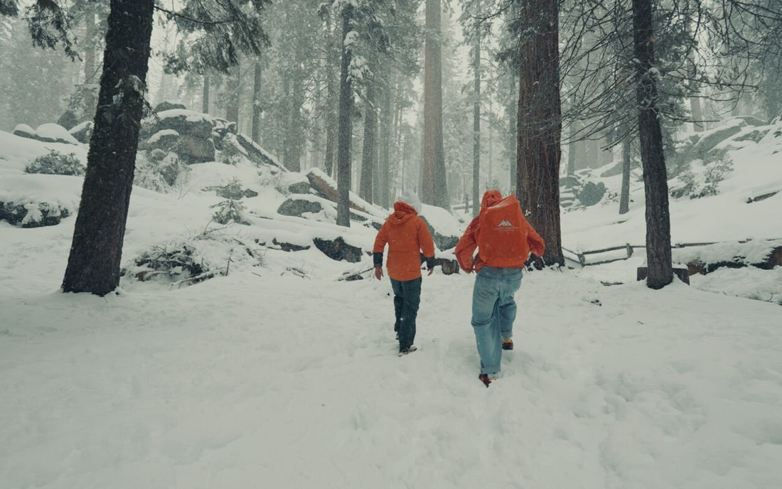 The sequoias, California